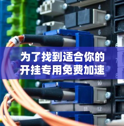 为了找到适合你的开挂专用免费加速器，以下是一些推荐和使用指南