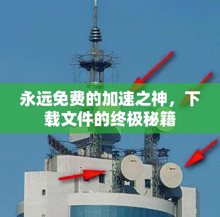 永远免费的加速之神,下载文件的终极秘籍 永远免费的加速之神,下载文件的终极秘籍