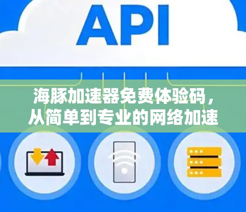 海豚加速器免费体验码，从简单到专业的网络加速解决方案