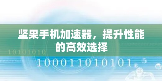 坚果手机加速器，提升性能的高效选择