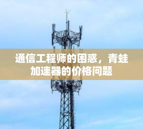 通信工程师的困惑，青蛙加速器的价格问题